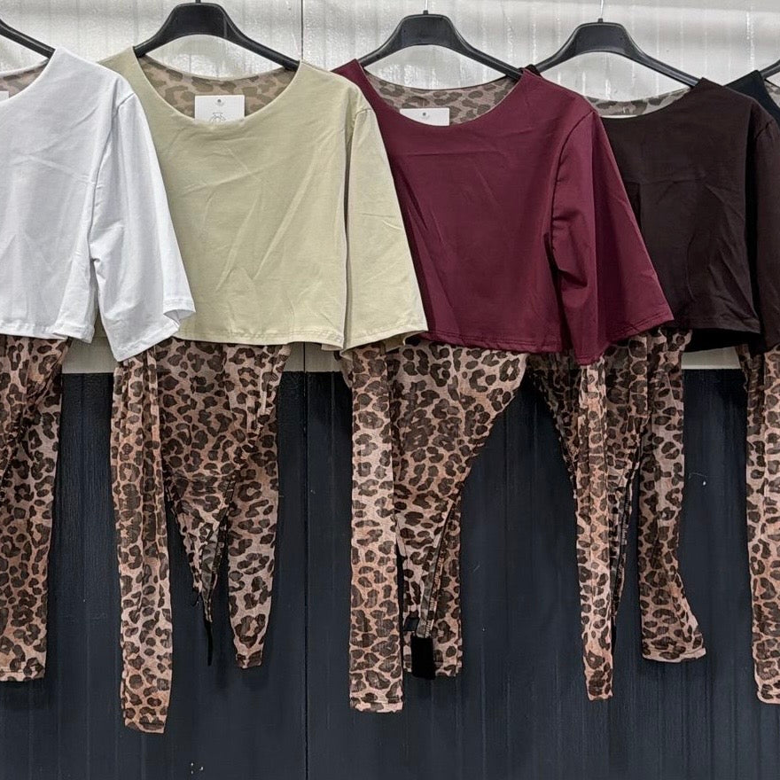 Body Safari